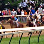 Expert Tips And Betting Advice For Kentucky Derby 2023