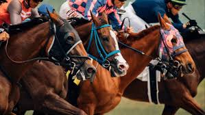 From Odds to Wins: Implementing Winning Horse Betting Strategies